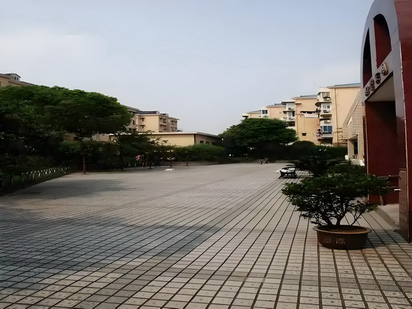 2025届毕业生深圳入户_应急管理部开视频调度会部署防台风应急救援工作 在高政府新区的支持下